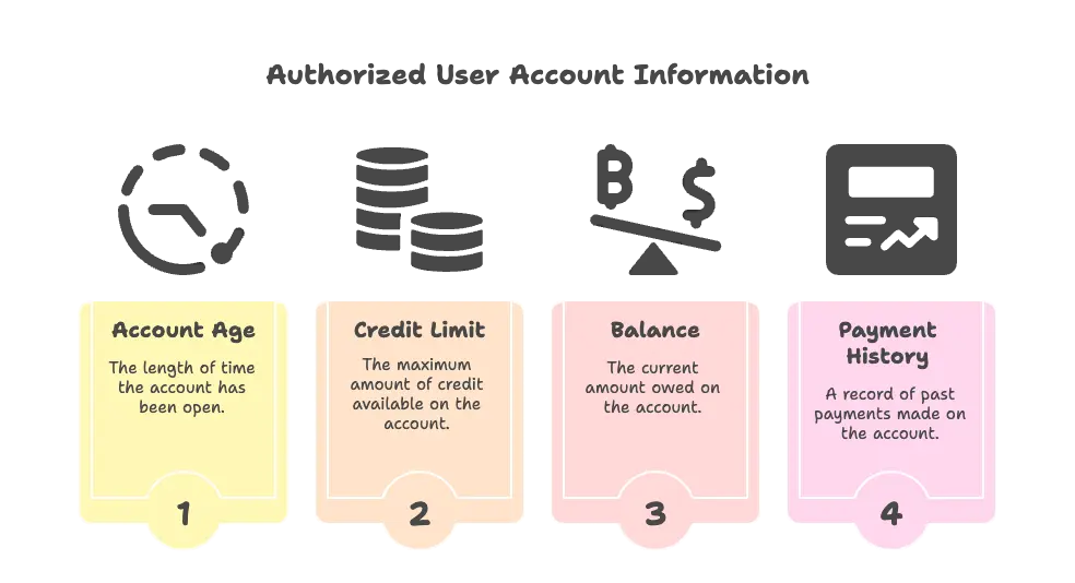 How Authorized User Accounts Appear on Reports